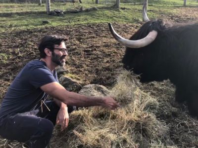 Reza Jarrahy is feeding fodder to the bull.